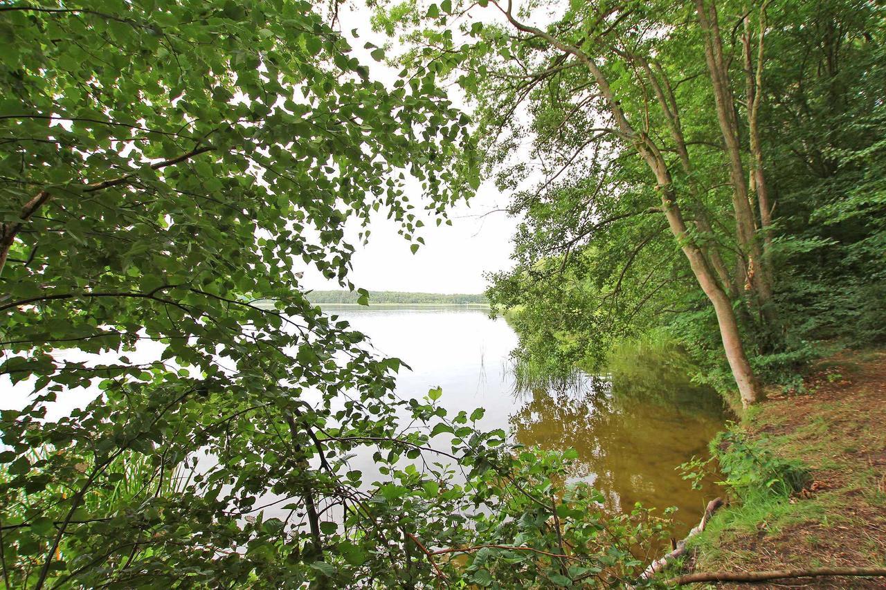 Ferienwohnung Im Forsthaus Am See Schwarz Extérieur photo